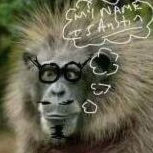 Meet your Posher, Austin